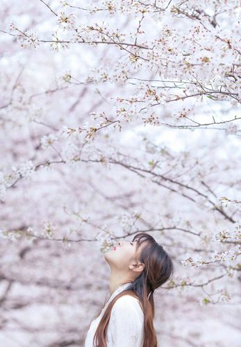 美女被抽插到哭内射视频免费 界面截图