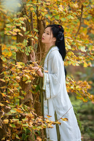 Risa murakamiXXAV 界面截图