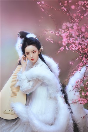 ntrd-018 界面截图