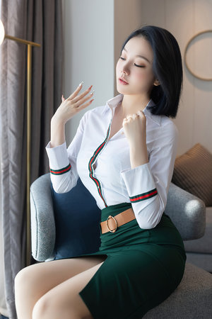 边境控制的故事 界面截图